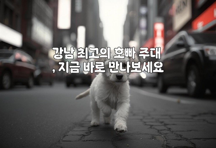 강남 최고의 호빠 주대, 지금 바로 만나보세요