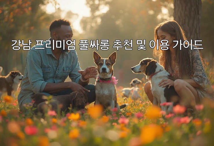 강남 프리미엄 풀싸롱 추천 및 이용 가이드