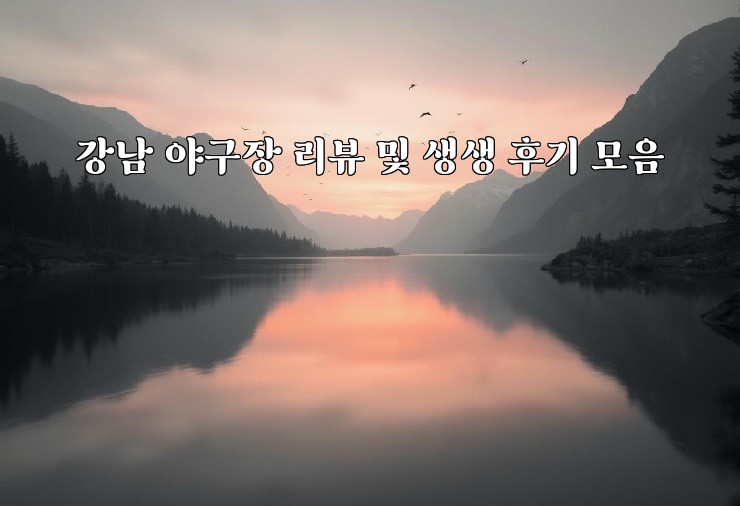 강남 야구장 리뷰 및 생생 후기 모음