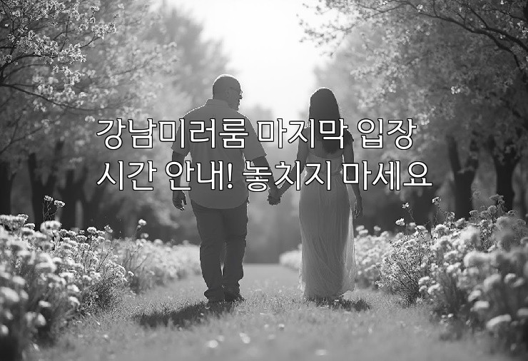 강남미러룸 마지막 입장 시간 안내! 놓치지 마세요