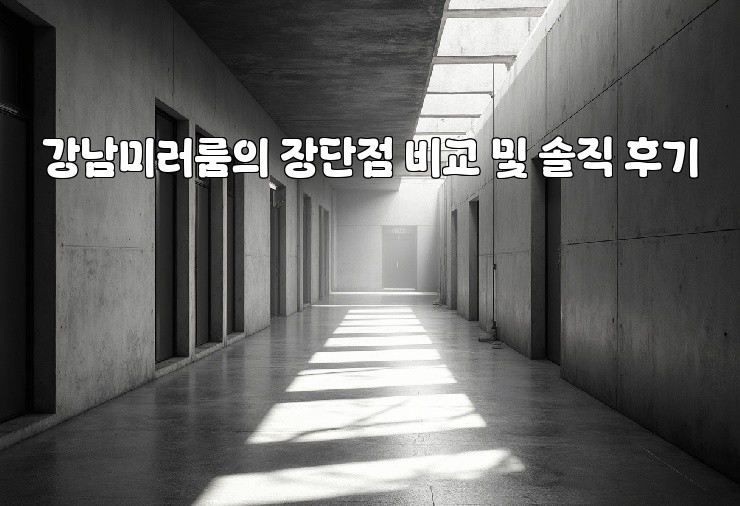 강남미러룸의 장단점 비교 및 솔직 후기